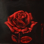 Red Rose