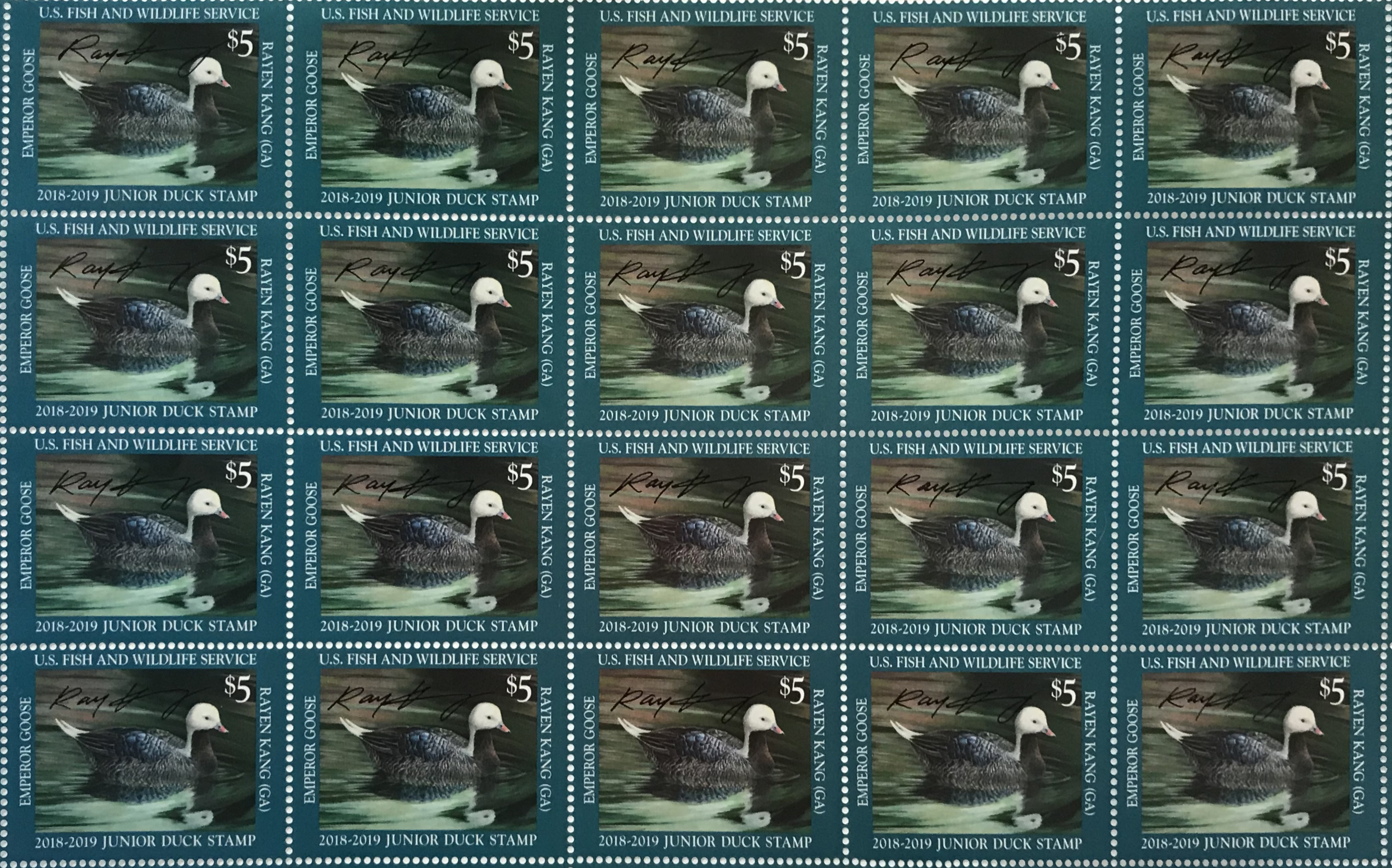 duck stamp 2018 Rayen Kang